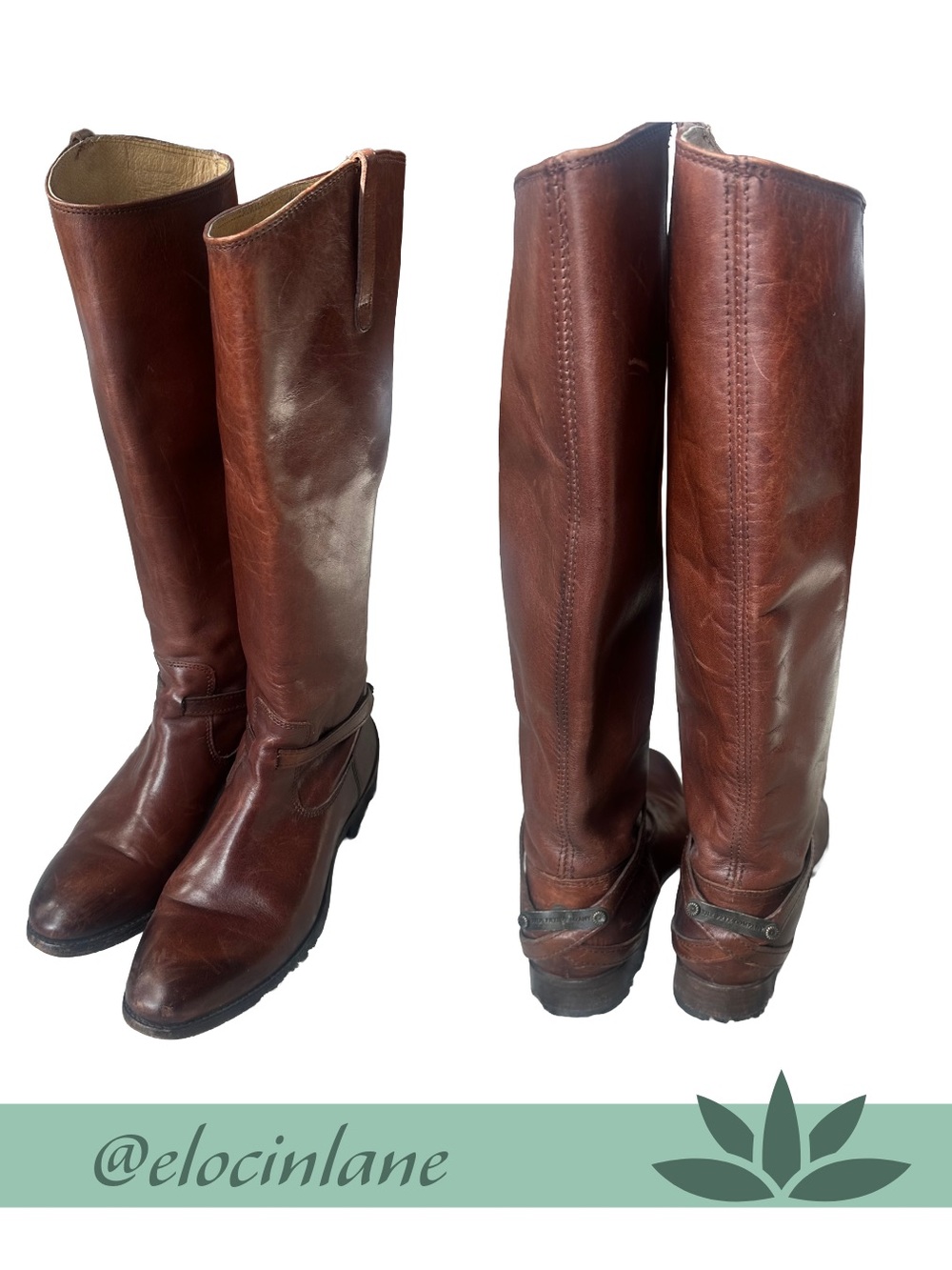 Frye Women's Tall Leather Riding Boots in Chestnut Brown
